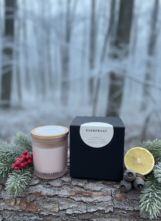 Frosted glass jar candle with wooden lid and 'Everfrost' black box on a snowy log with evergreen sprigs, berries, pine cones and a lemon slice in a winter forest background.